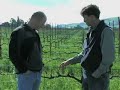March - Bud Break in the VineyardJoin Steve Sangiacomo of Sangiacomo Vineyards and Mark Cuneo of Sebastini Vineyards in a Pinot Noir vineyard in Carneros-Sonoma.