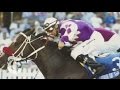 Sports: Where Do Racehorses Go? - nytimes.com/video