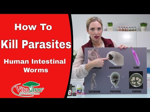 how to cure human worms