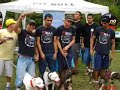 Pit Bull Pandora