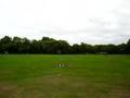 Kite flying