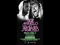 Steve Angello & Sebastian Ingrosso - Partouze