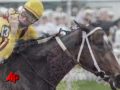 Preakness Stakes