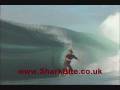 Cheeky 2.wmv