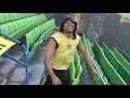 Peñarol en Caracas. Estadio Olimpico UCV. Barra Amsterdam - El pibe de los Astilleros