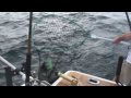 Three Years Deep - 2010 Striker Sportfishing Promo