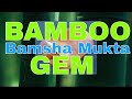 videos de Bamboo Pearl
