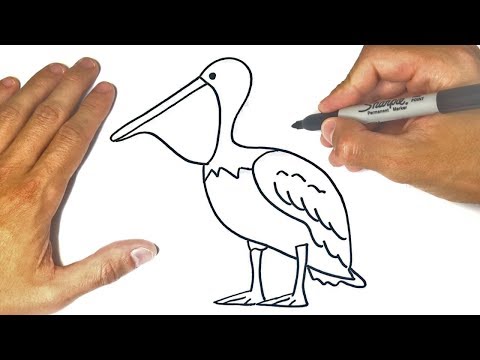 video-linktoworks-How to draw a Pelican Step by Step | Pelican Drawing...