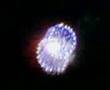 Foto v�deo
