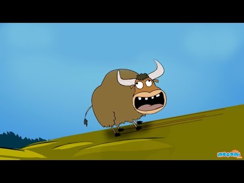What is Friction? | Mocomi Kids