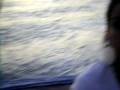 videos de PM 1.avi