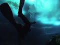 Diving Under The Ice Diving Under The Ice
