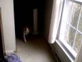videos de Song about a Dog - My Life is Totally Sweet