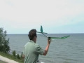 The Fling The Fling