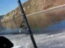 BAHIA DE LOS ANGELES (BUCHONES) 1 BAHIA DE LOS ANGELES (BUCHONES) 1