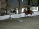My Jumping Lesson With Horse King