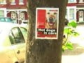a serious warning to dog and hot dog lovers alike!