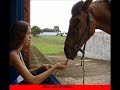 prote��o animal, ajude...