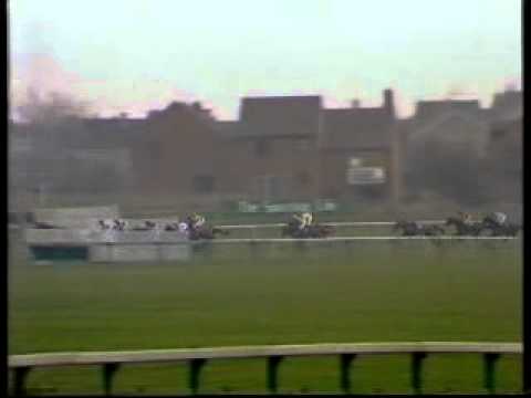 horse racing cheltenham
