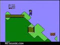 www.nesguide.com