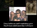 See Video