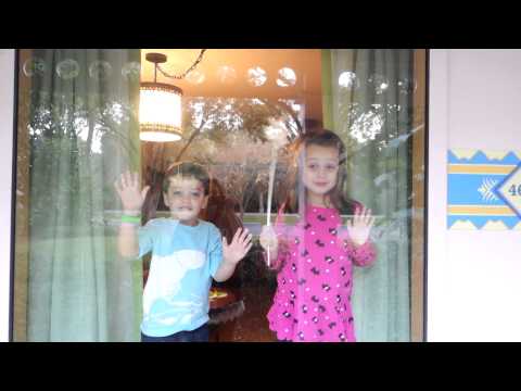 how to vacation in disney world