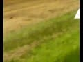 arjan putman hanomag 500 full pull