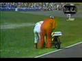 Funny sports