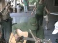 Porch Jam-- Augusta Heritage Center 2008