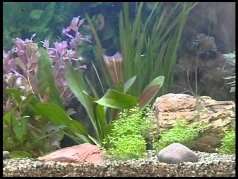 Marina Reinigungswerkzeuge 1