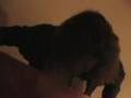 Finally-got-A-haircu