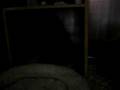 videos de Kitties 3