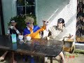 naruto-cosplay.html