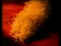 COMMERCIAL Old El Paso Taco Dinner (1996) COMMERCIAL Old El Paso Taco Dinner (1996)