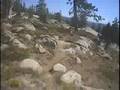 Pinecrest Peak