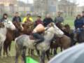 Horseback Wrestling, Shymkent, Kazakhstan