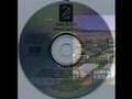 Pink Floyd - 1987 - A Momentary Lapse Of Reason