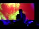 Art Basel Miami 2008 - Panda Bear # 5 Art Basel Miami 2008 - Panda Bear # 5