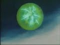 goku vs brolly