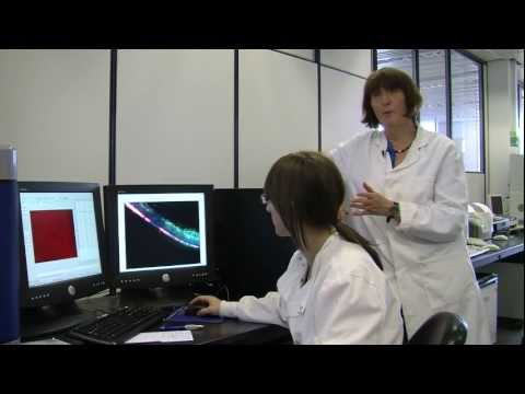 how to rebuild skin tissue