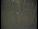 aromafieber infos:djshop.de (musicvideo-trailer)