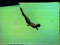 1982 mens tower diving