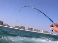 Cobia Fishing 2006 Cobia Fishing 2006