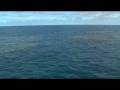 Diving the Great Barrier Reef