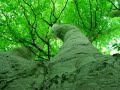 marlay-park-rathfarnham-co-dublin-ireland.html