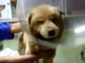 title="cone