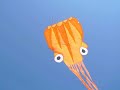 SquidKite
