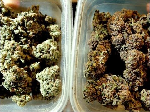 Is Medical Marijuana Too Strong?