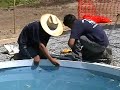 Do It Yourself Fiberglass Swimming Pool Deck (part 2 of 6)