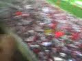 venirte a ver   chivas vs morelia  6 0 